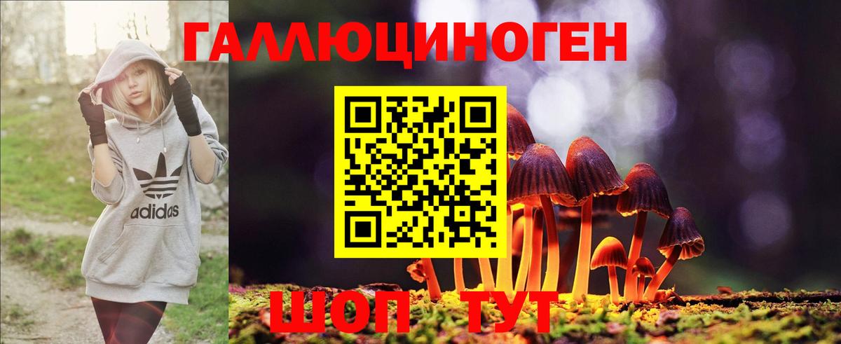 Верхний Уфалей  Псилоцибиновые грибы MAGIC MUSHROOMS  сколько стоит  Псилоцибиновые грибы прущие грибы  Вход с VPN 